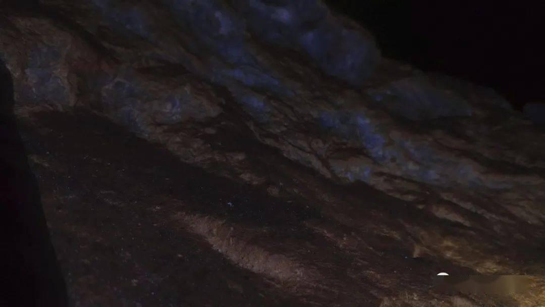 逃离神秘树屋
