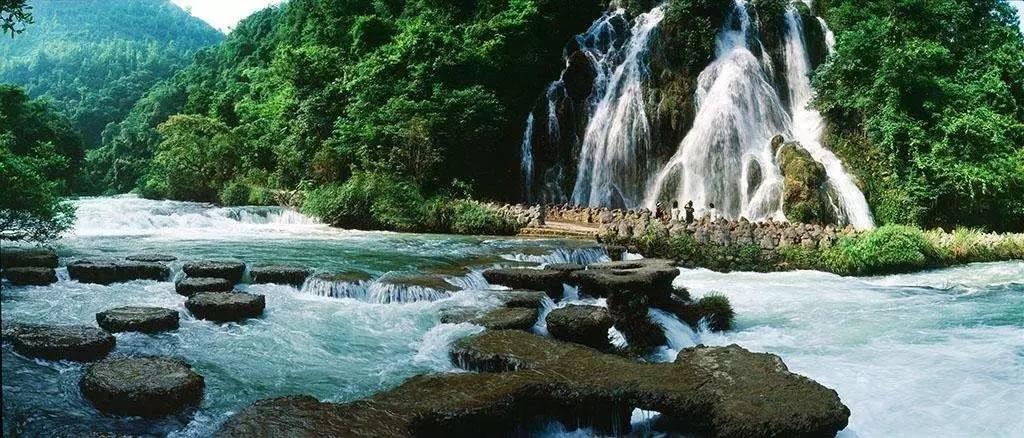 味道苦涩，营养丰富，你知道这是什么蔬菜吗？